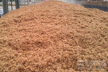 安徽滁州天廣生物質(zhì)能源啤酒糟烘干機技改項目