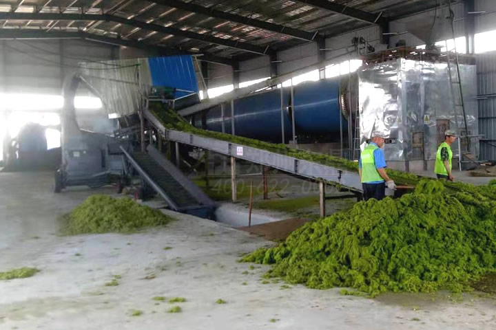 滸苔烘干機(jī)能耗低，獨(dú)特的脫水加烘干工藝，大大降低烘干成本，成功解決滸苔之患。