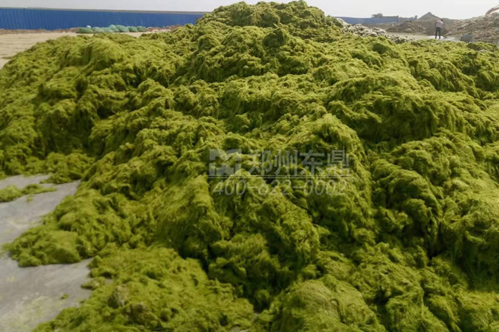 牧草烘干機(jī)如何科學(xué)選型？牧草烘干過(guò)程中營(yíng)養(yǎng)成分會(huì)流失嗎