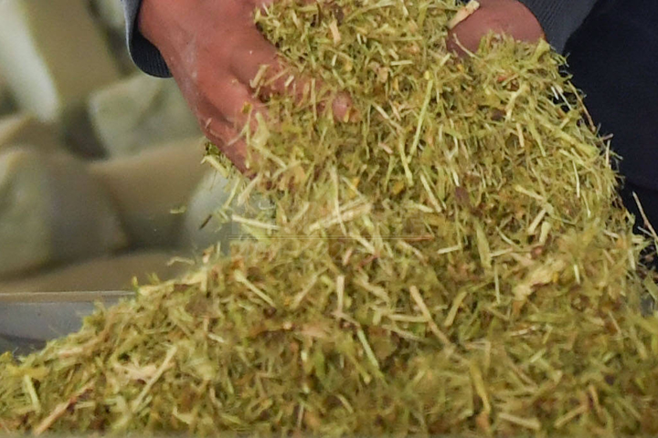 生物質(zhì)烘干機(jī)廠家鄭州東鼎干燥開(kāi)發(fā)了大型檸條烘干機(jī)成套設(shè)備，實(shí)現(xiàn)了檸條資源規(guī)模化利用之路。